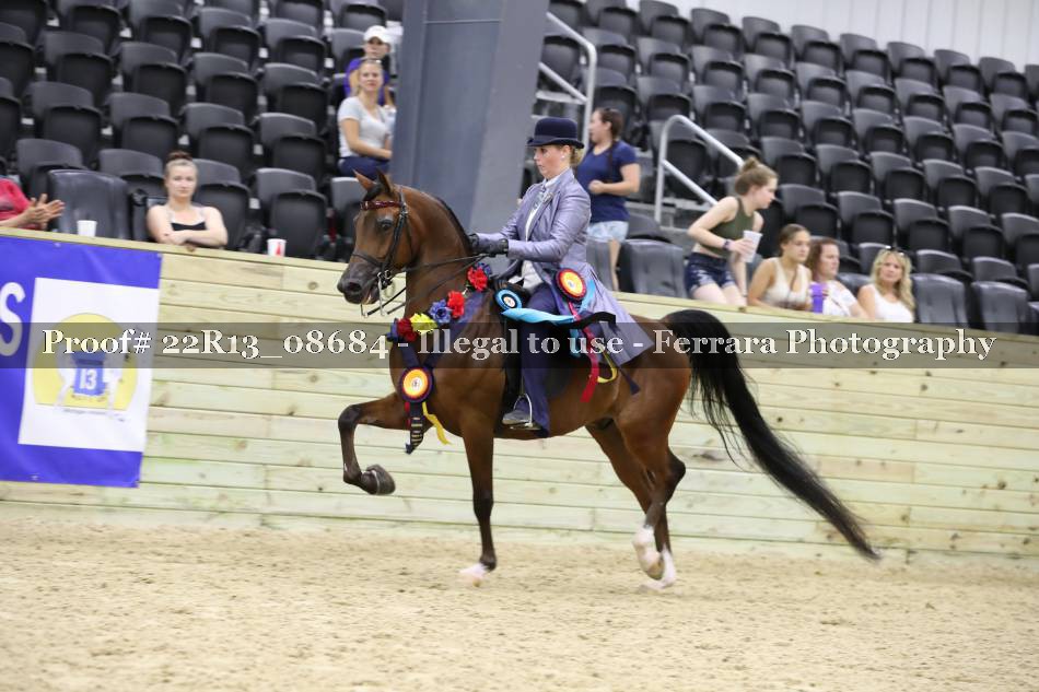 Proof 22R13_08684