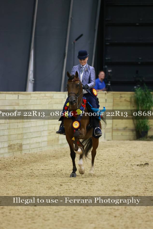 Proof 22R13_08686