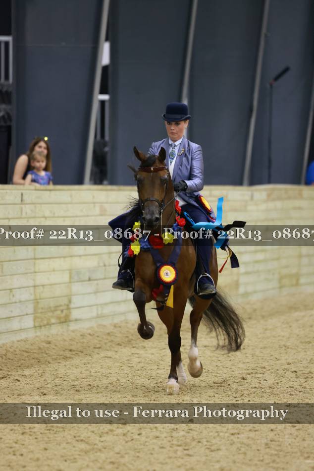 Proof 22R13_08687