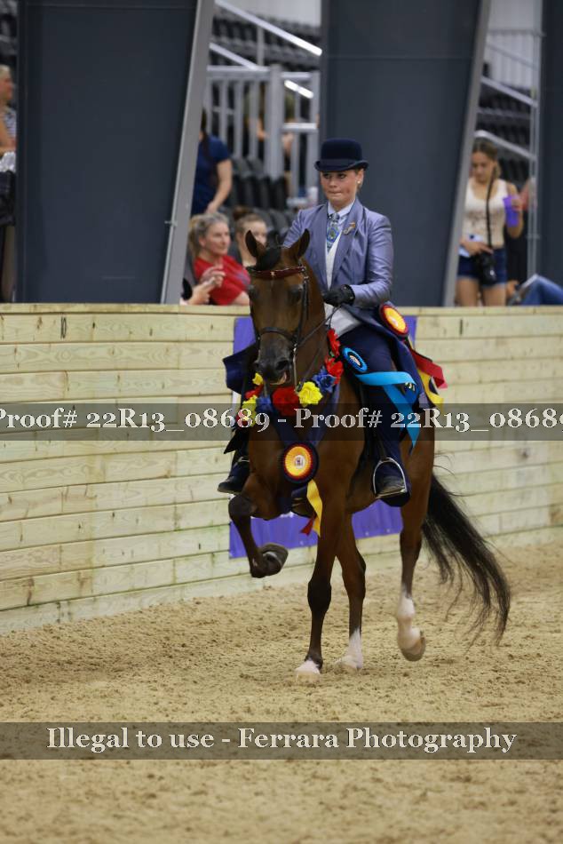 Proof 22R13_08689