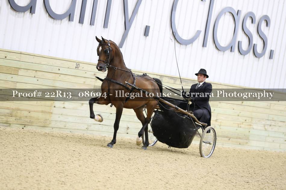 Proof 22R13_08694