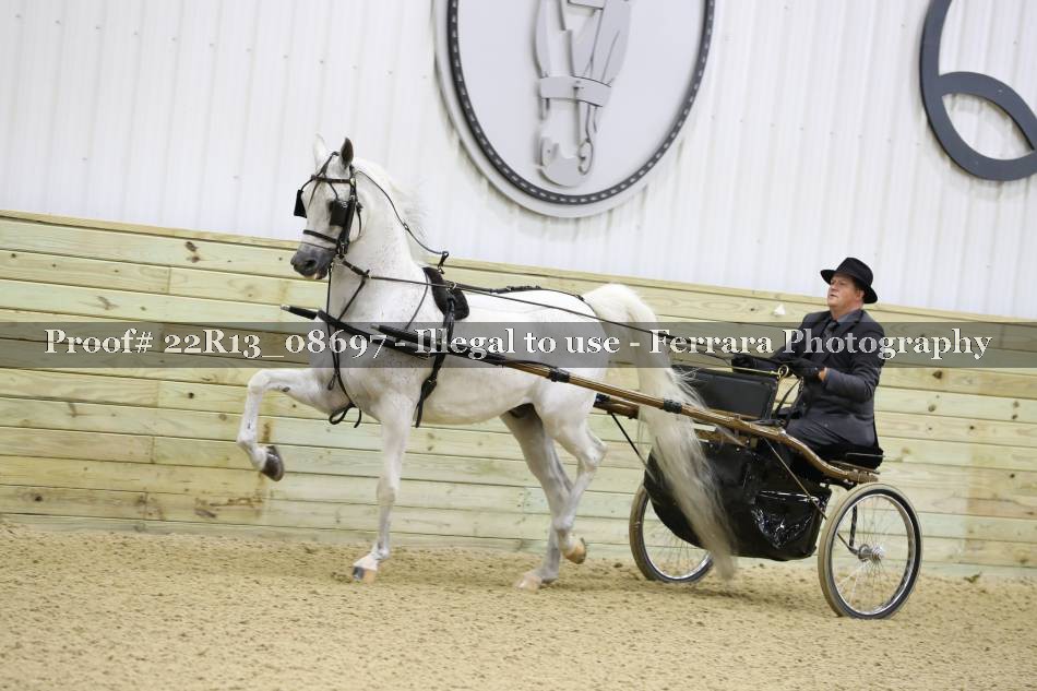 Proof 22R13_08697