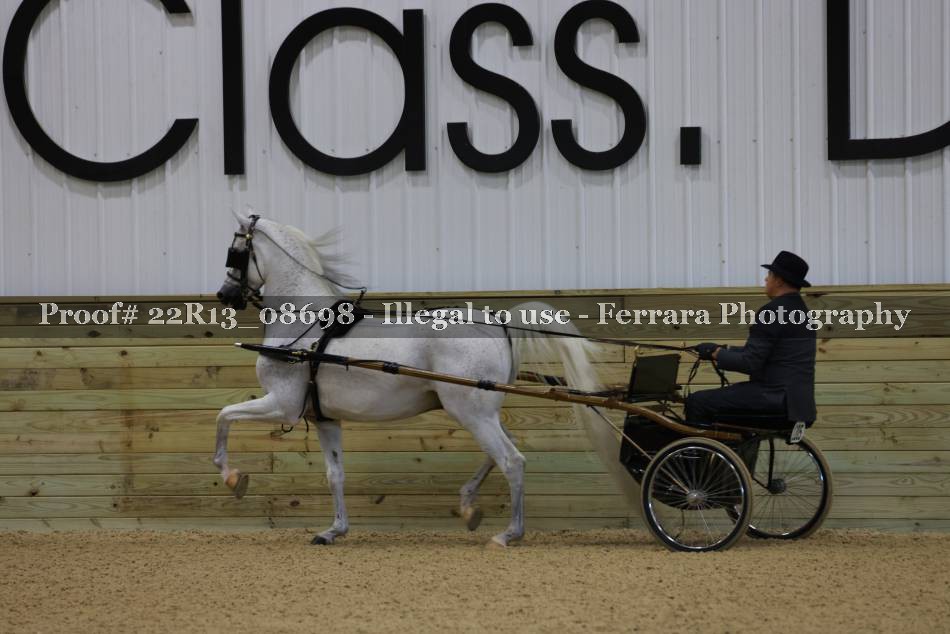 Proof 22R13_08698