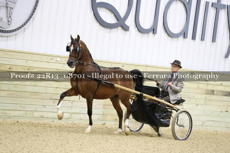 Proof 22R13_08701
