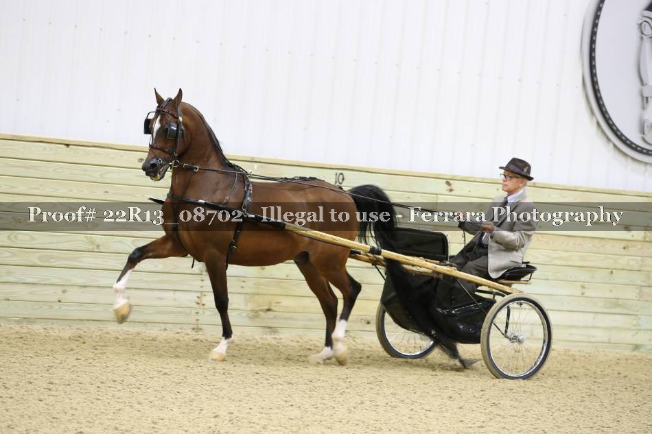 Proof 22R13_08702