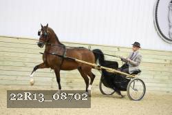 22R13_08702 proof