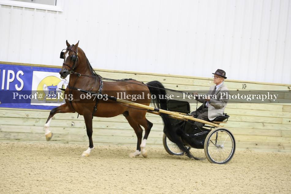 Proof 22R13_08703