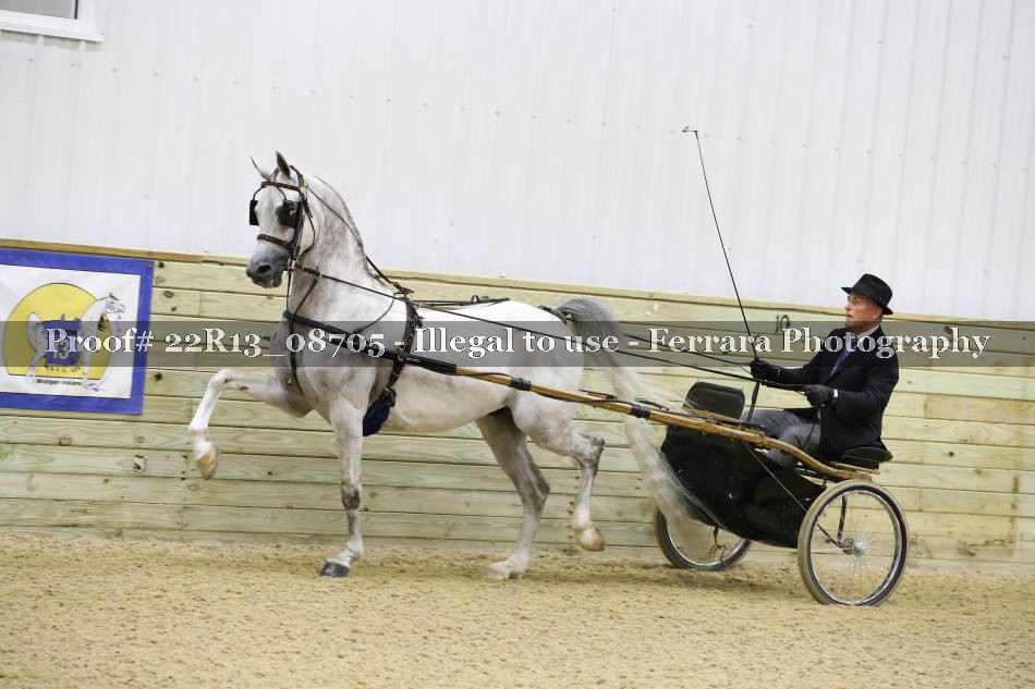 Proof 22R13_08705