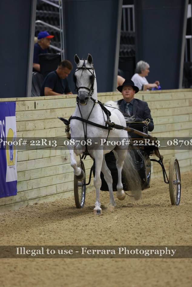 Proof 22R13_08708