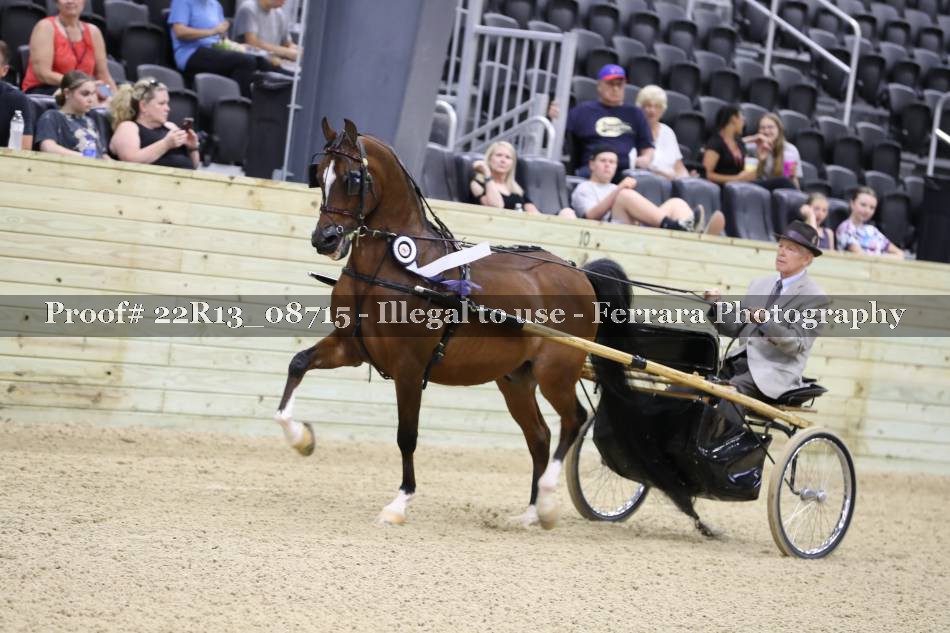 Proof 22R13_08715