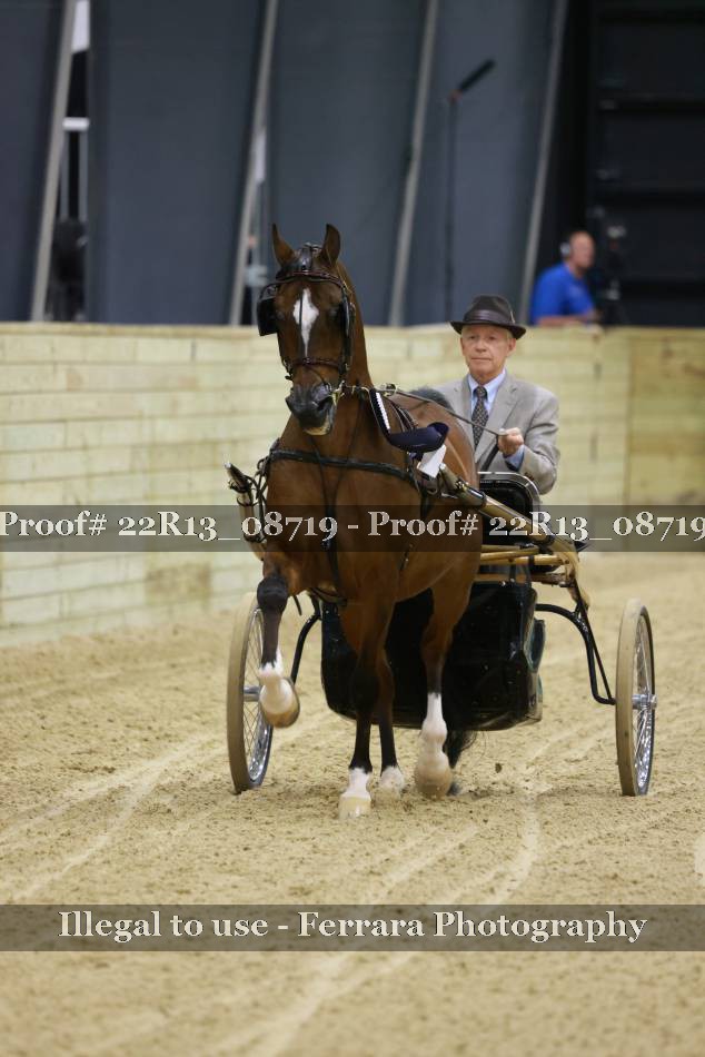 Proof 22R13_08719