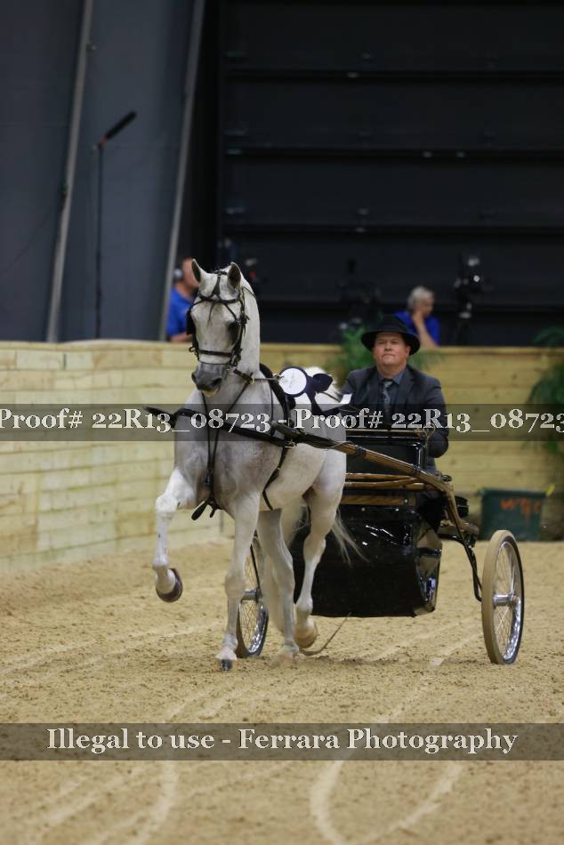 Proof 22R13_08723