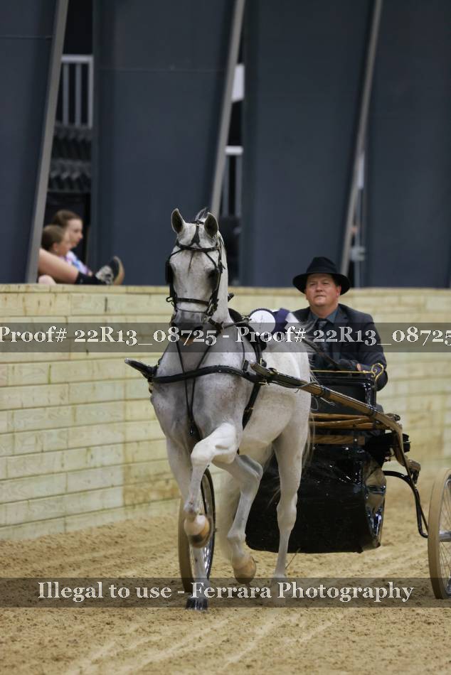 Proof 22R13_08725