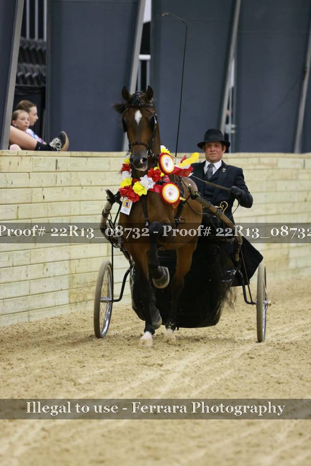 Proof 22R13_08732