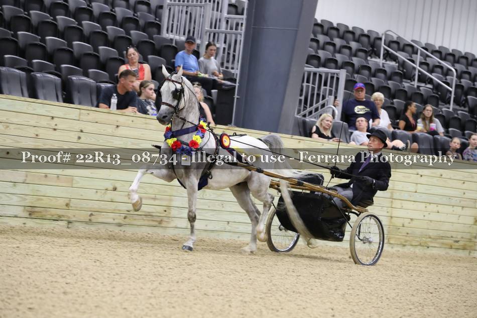 Proof 22R13_08734