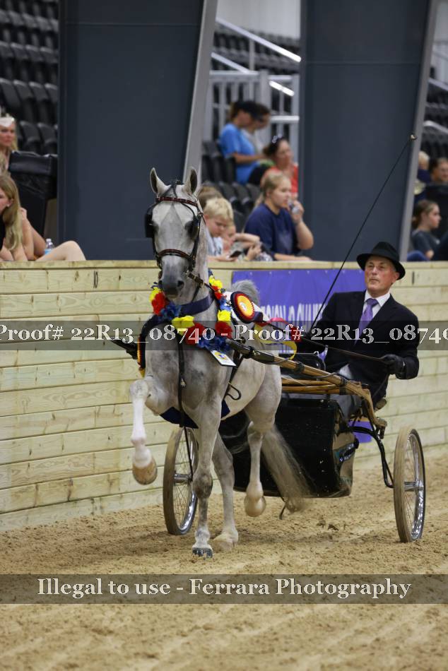 Proof 22R13_08740