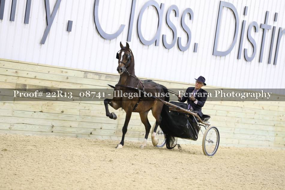 Proof 22R13_08741