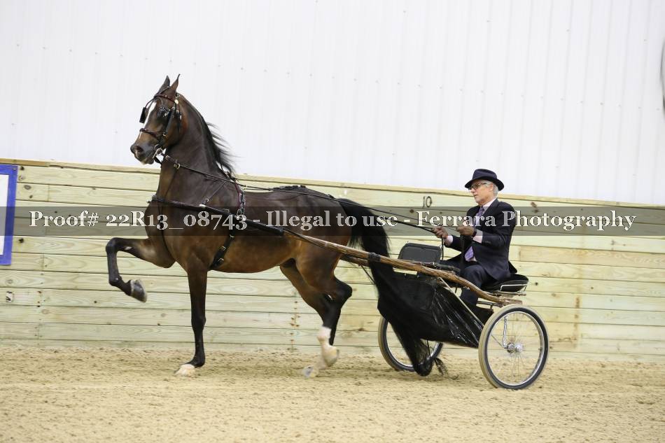 Proof 22R13_08743