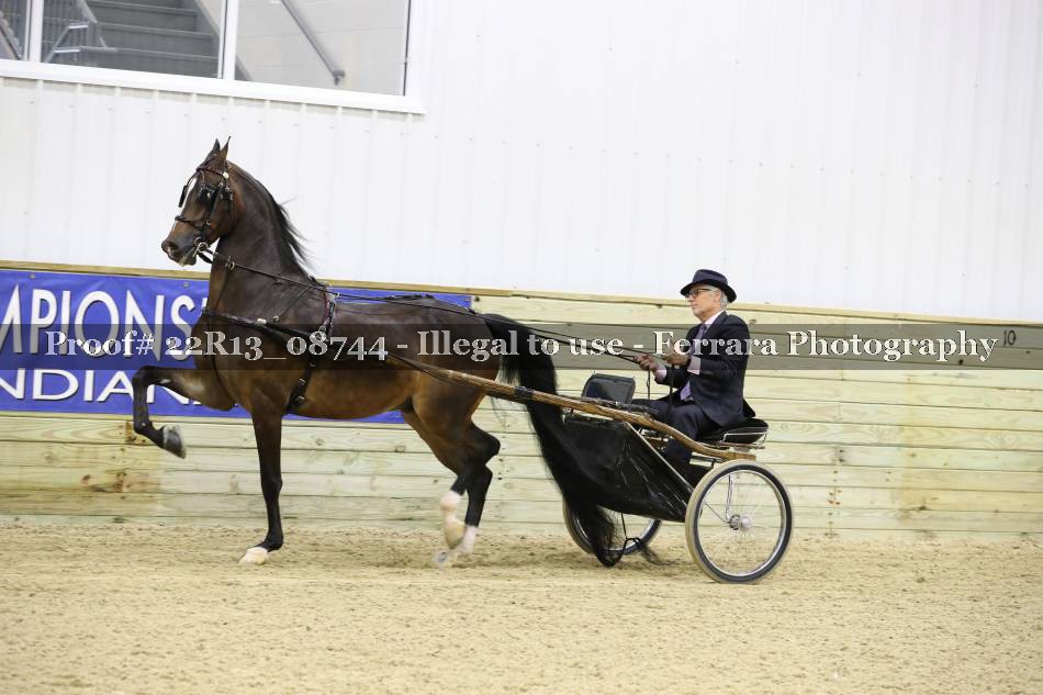 Proof 22R13_08744