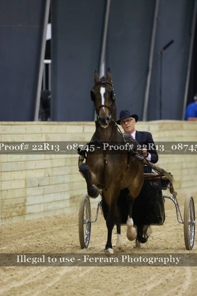 Proof 22R13_08745