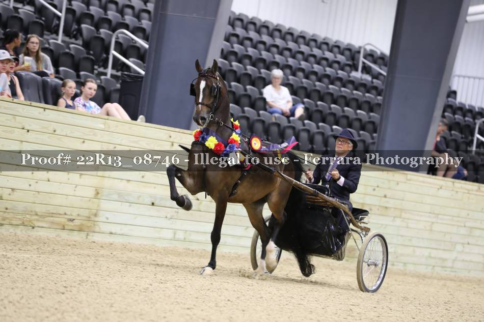 Proof 22R13_08746