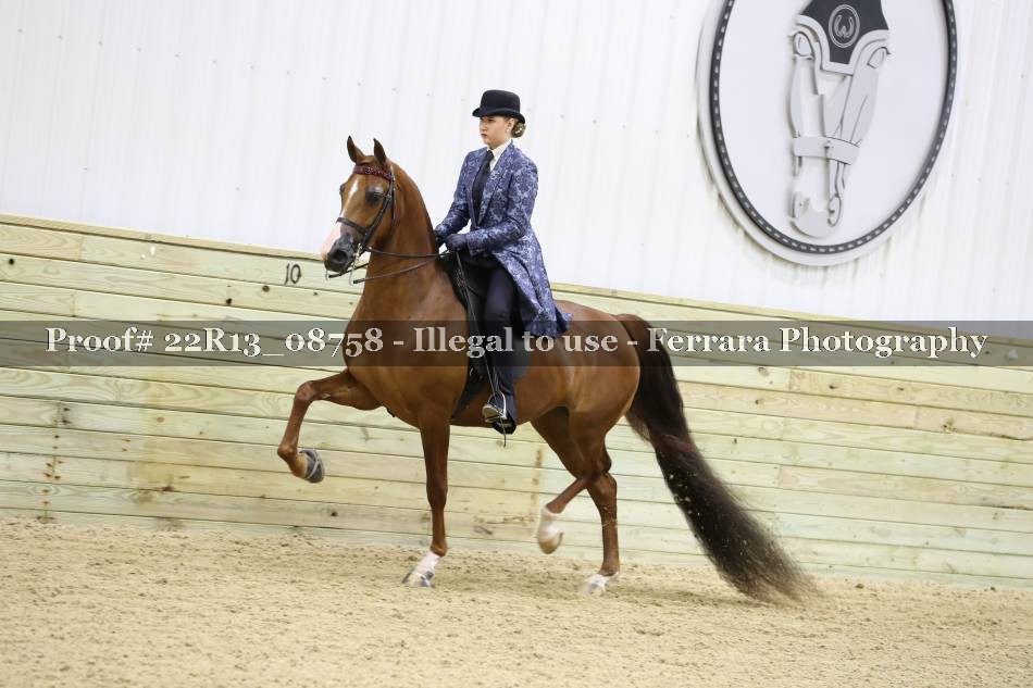 Proof 22R13_08758