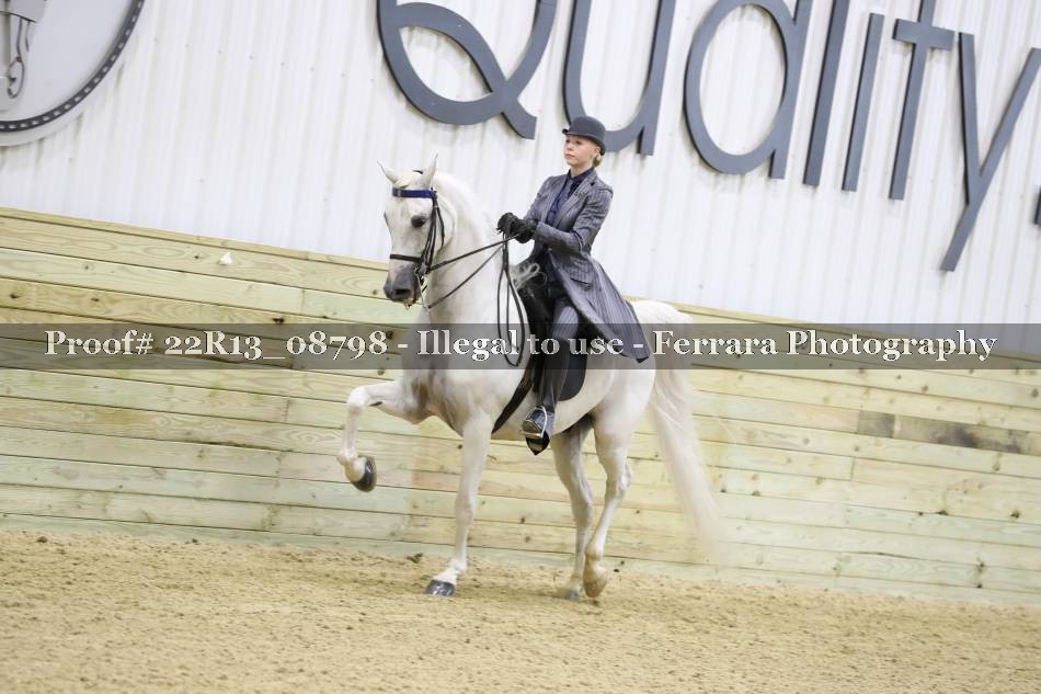 Proof 22R13_08798