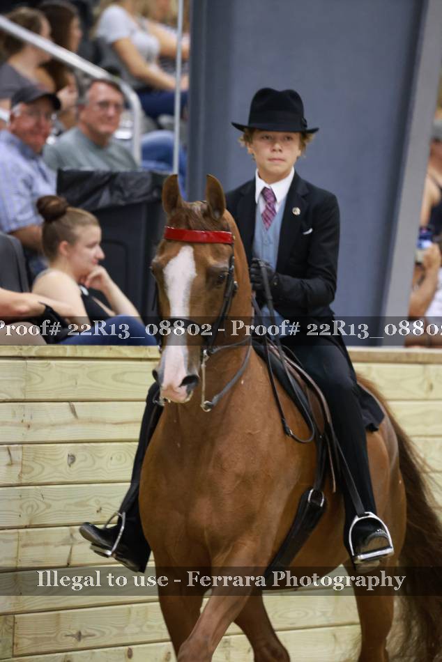 Proof 22R13_08802