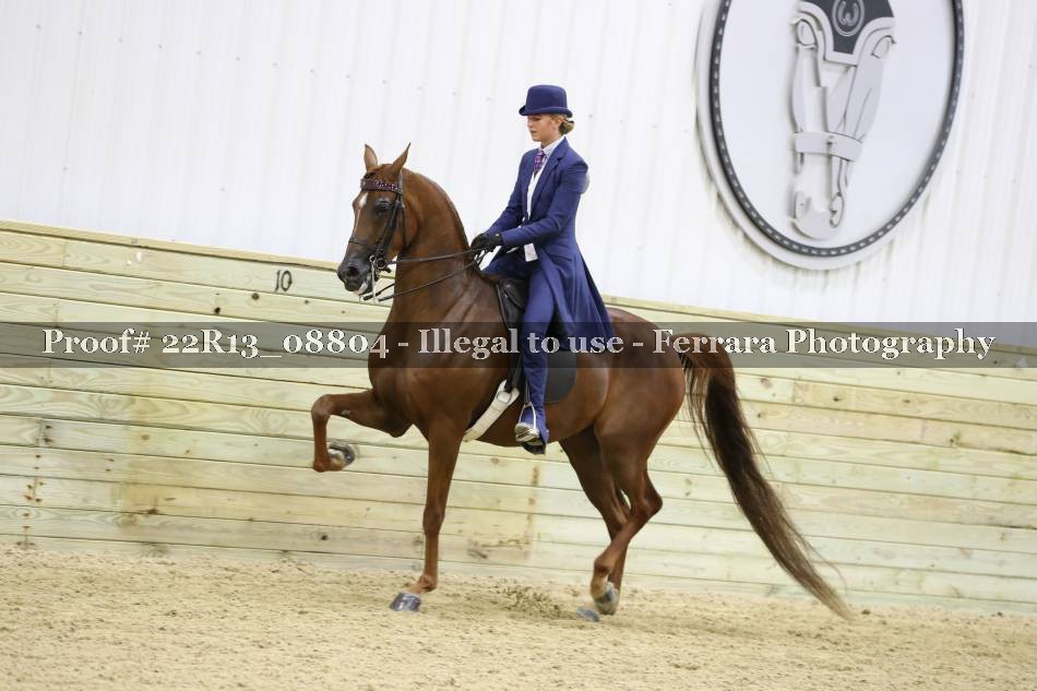 Proof 22R13_08804