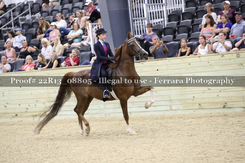 Proof 22R13_08805