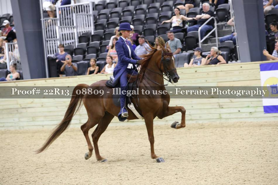 Proof 22R13_08809