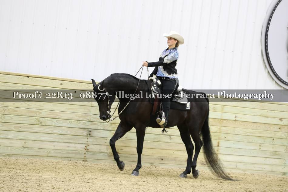 Proof 22R13_08877