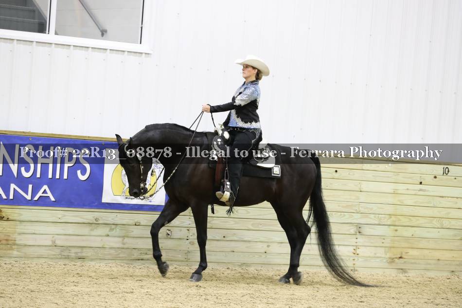 Proof 22R13_08878