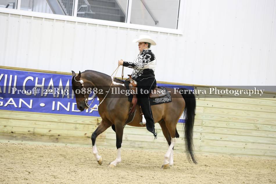 Proof 22R13_08882