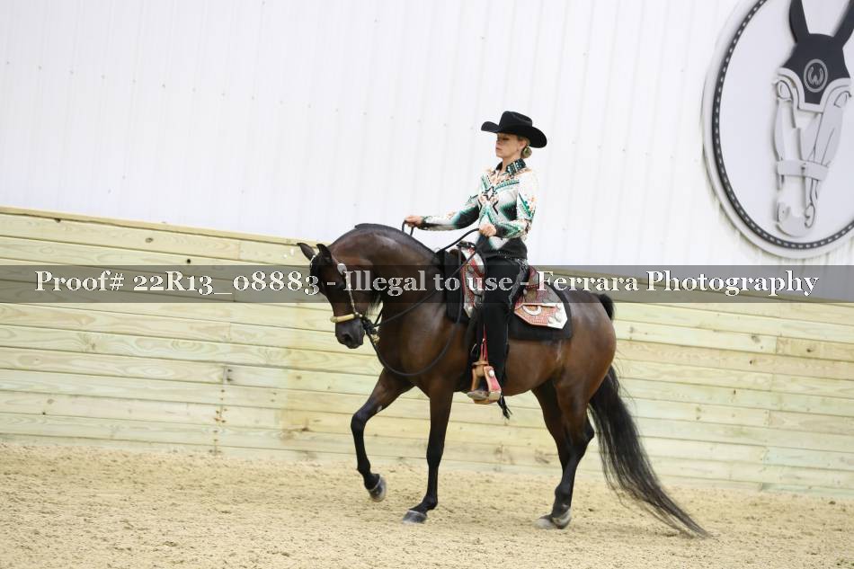 Proof 22R13_08883