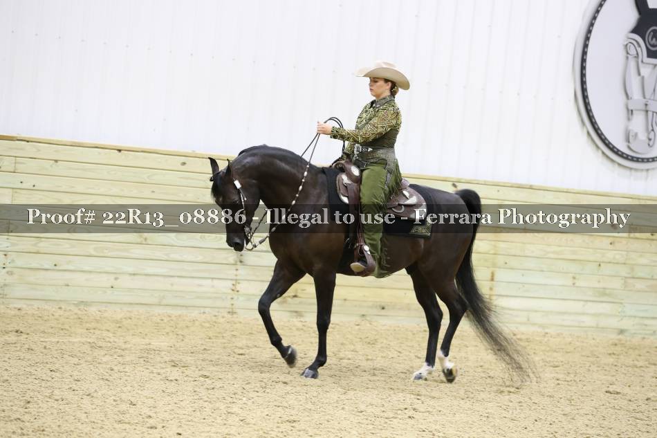 Proof 22R13_08886