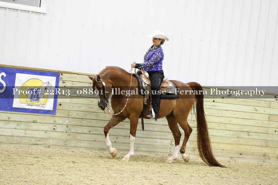 Proof 22R13_08891