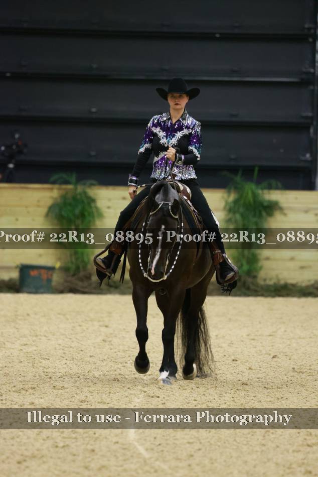 Proof 22R13_08895