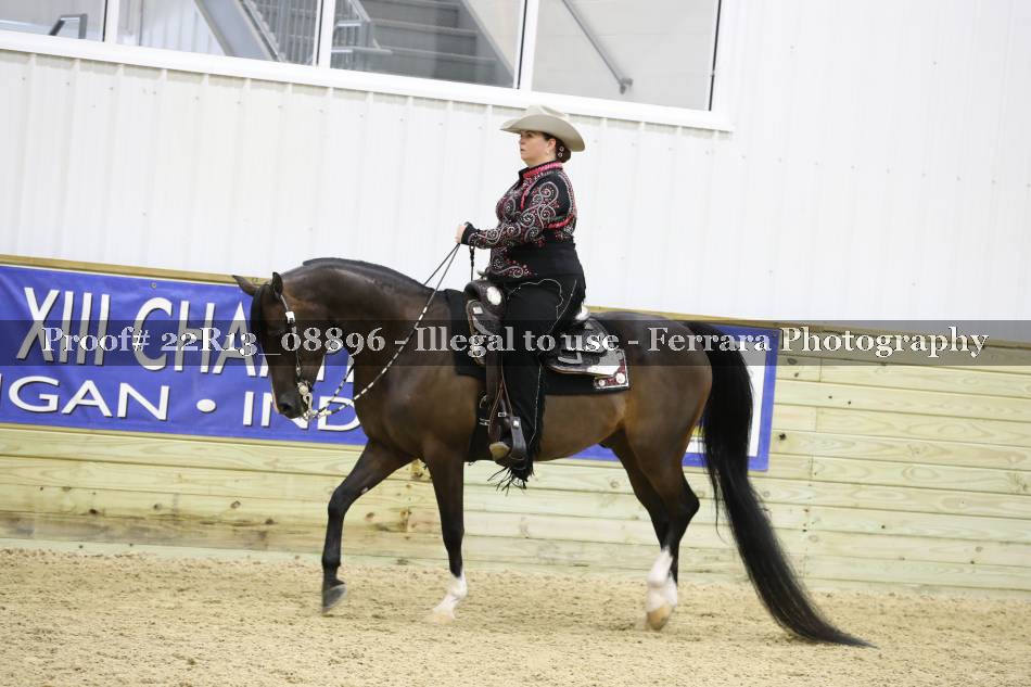 Proof 22R13_08896