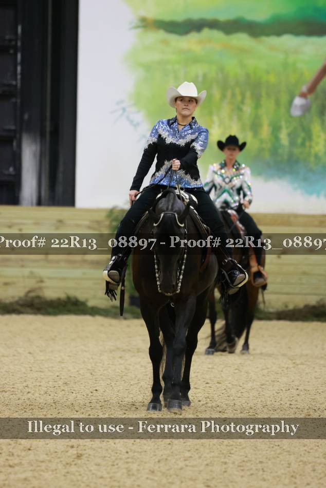 Proof 22R13_08897