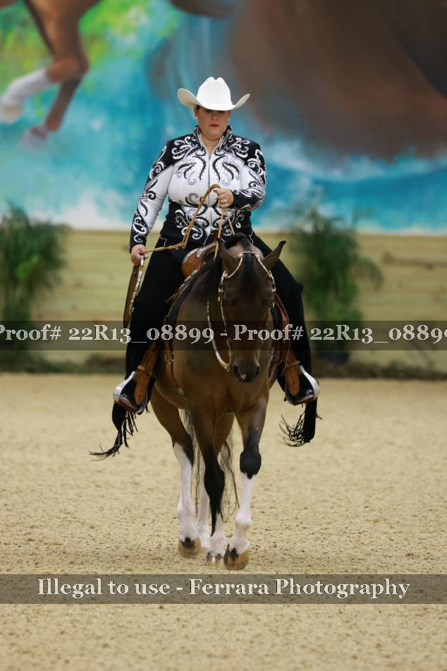 Proof 22R13_08899