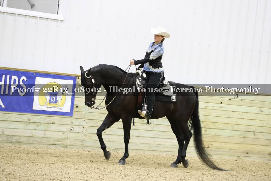 Proof 22R13_08902