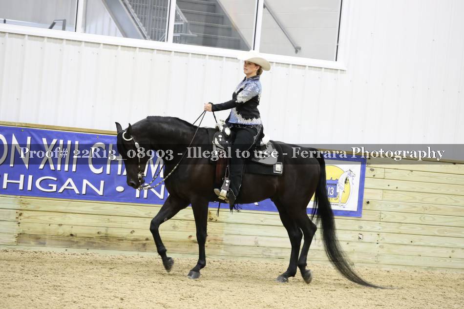 Proof 22R13_08903