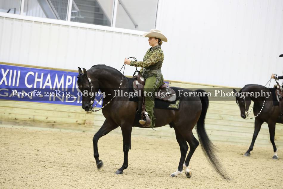 Proof 22R13_08904