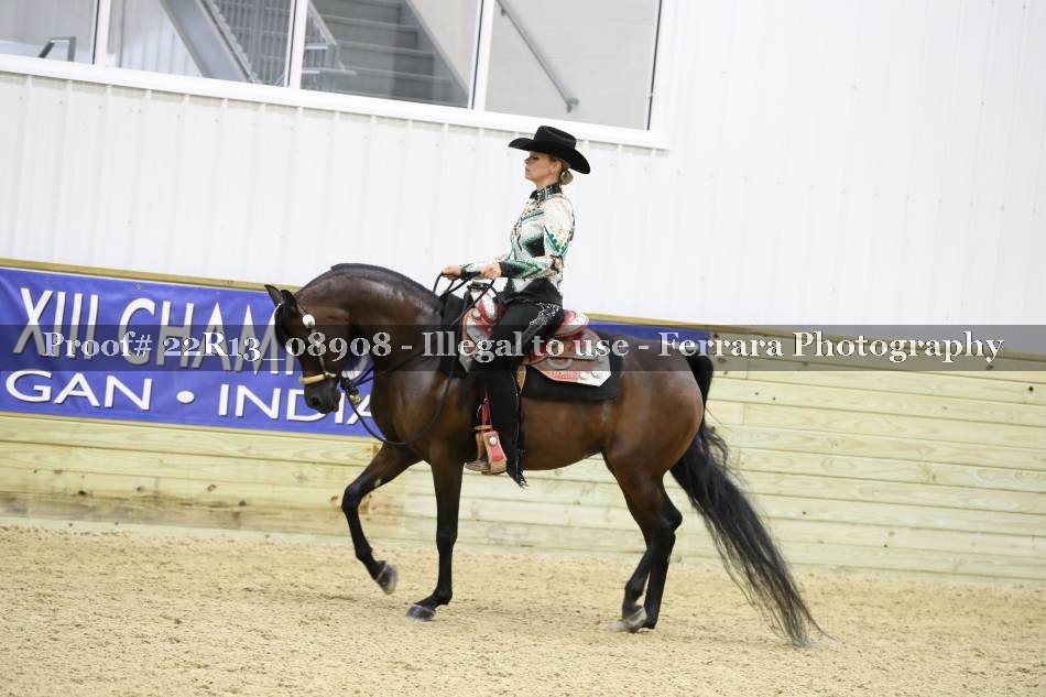 Proof 22R13_08908