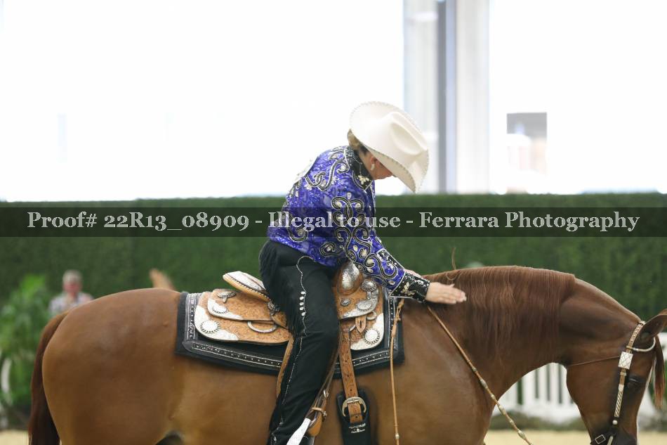 Proof 22R13_08909