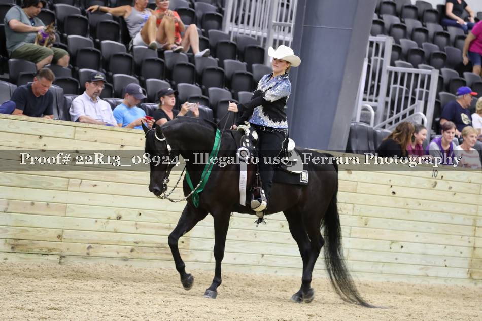 Proof 22R13_08924