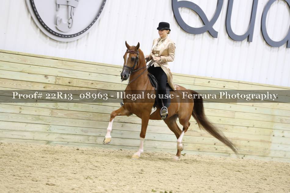 Proof 22R13_08963