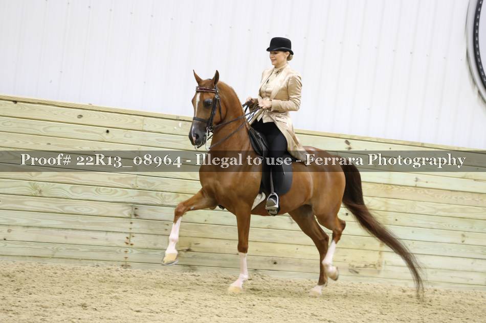 Proof 22R13_08964