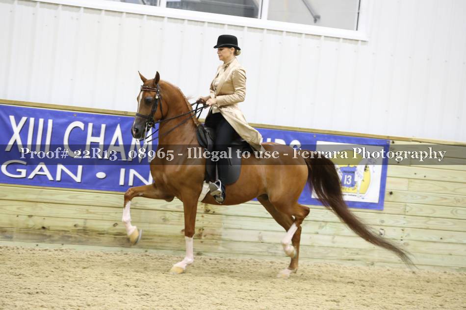 Proof 22R13_08965